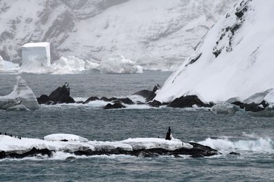 Antarctica Nov24 046.jpg
