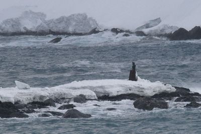 Antarctica Nov24 062.jpg