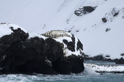 Antarctica Nov24 067.jpg