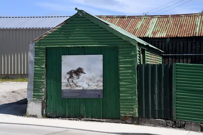 g13/93/329493/3/175373663.de0e31b1.JPEG