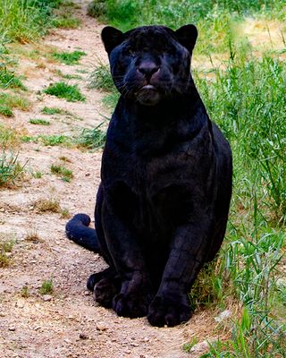 _MG_0144 8x10flok.jpg