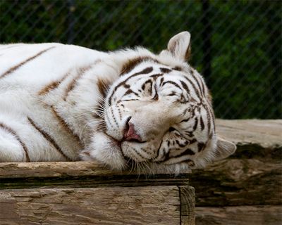 _MG_0056 8x10gbem.jpg