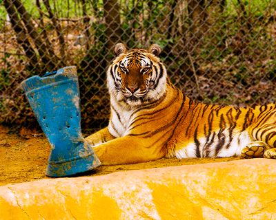 _MG_0493a 8x10sid.jpg
