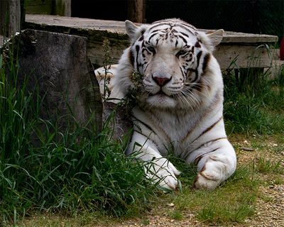 _MG_7430 8x10gbem.jpg