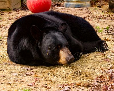 _MG_8753a 8x10pep.jpg
