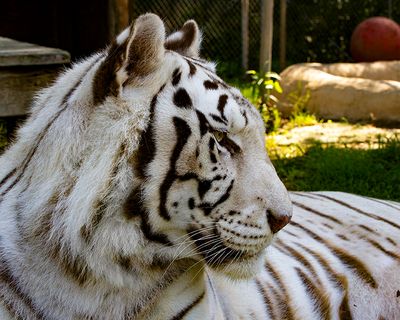 _MG_0216 8x10gbem.jpg