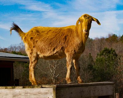 _MG_3792a 8x10el.jpg