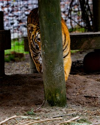 _MG_6925tork8x10 copy.jpg