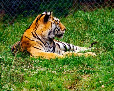 _MG_0241 8x10tork.jpg
