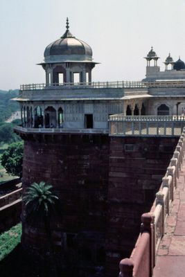 IN127-Agra-1988-Dimage16bit-scan2023_edit.jpg