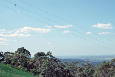 AUS011-Sugarloaf-1988-Dimage16bit-scan2023_edit.jpg