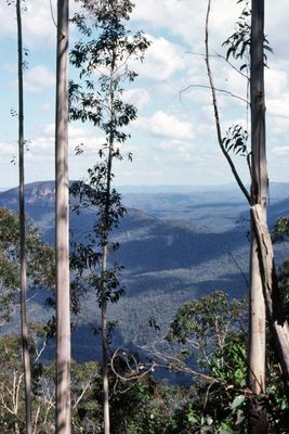 AUS016-Katoomba-1988-Dimage16bit-scan2023_edit.jpg