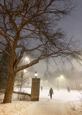 Winter in Edmonton