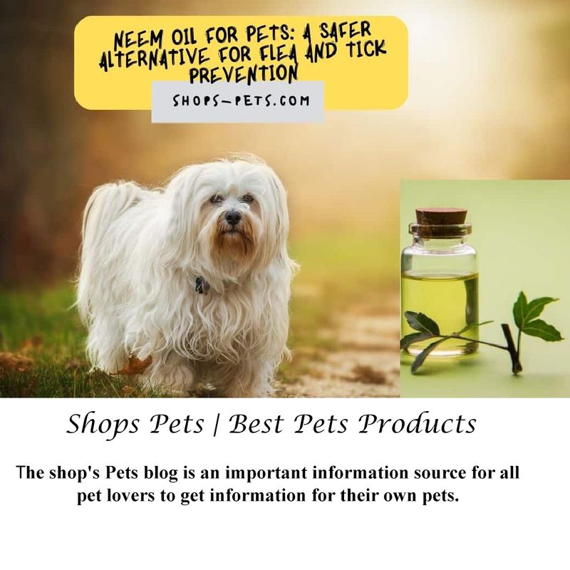 Shops pets Bets pets products.jpg