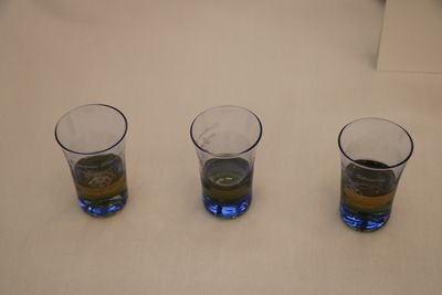 IMG_1240.jpg