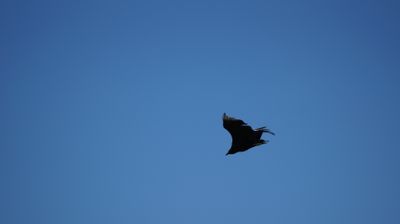 g13/93/834193/3/175185579.f519d12f.JPEG
