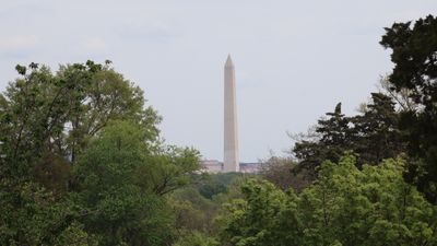 View of the Washington Monument from Arlington