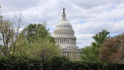 View of the Capitol 