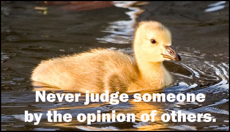 judge - never judge someone.jpg
