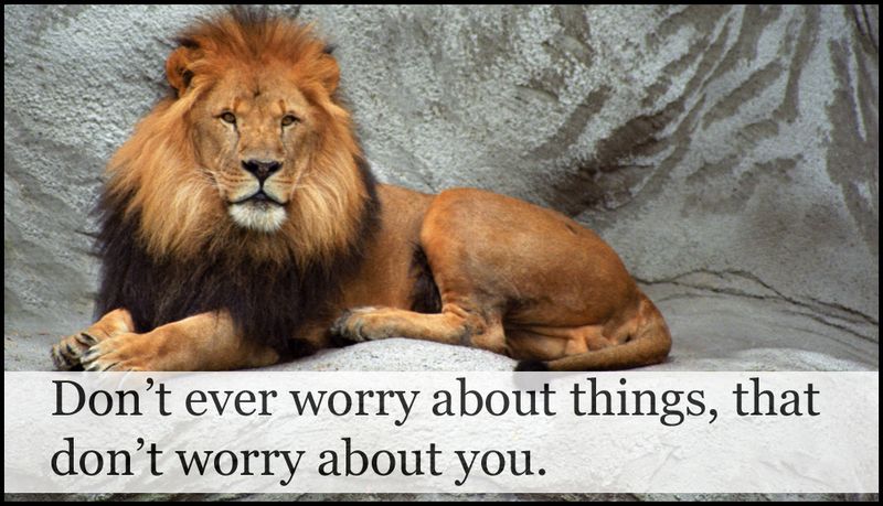 worry - dont ever worry.jpg