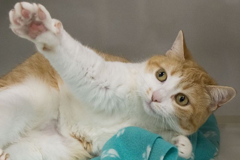 PAWR D230406 052 www.jpg