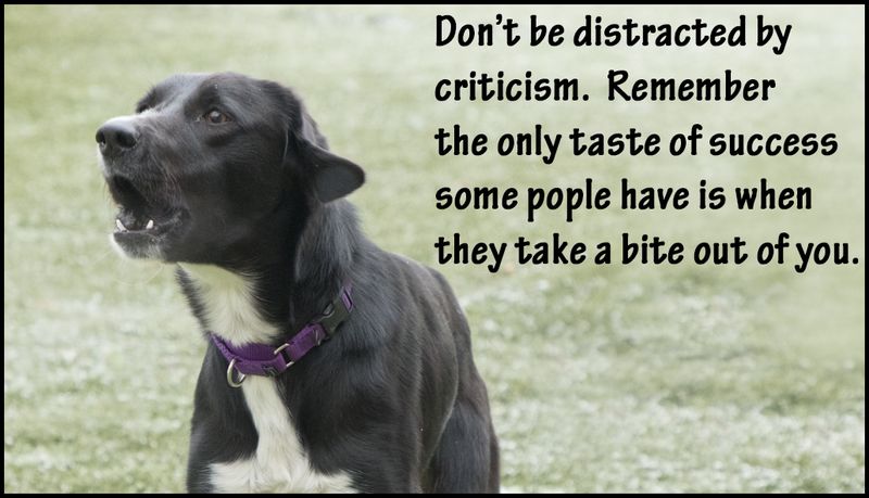 success - dont be distracted by.jpg
