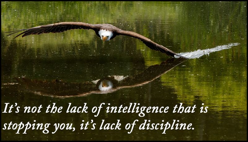 intelligence - its not the lack of intelligence.jpg