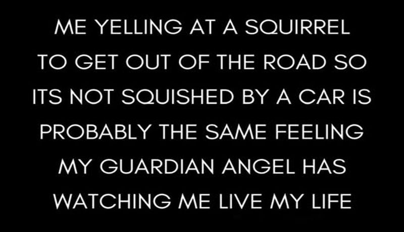 funny - me yelling at a squirrel.jpg