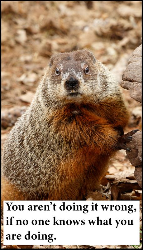 note to self - v - you arent doing it wrong.jpg