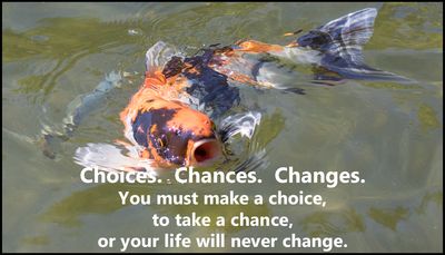 Change - Choices Chances Changes.jpg