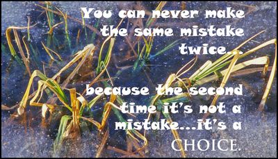 Mistakes -You Can Never Make.jpg