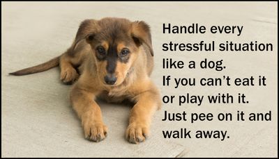 Stress - handle every.jpg