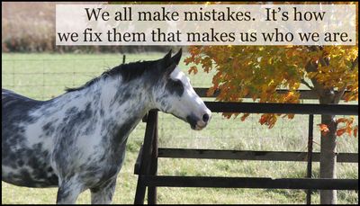 Mistakes - we all make mistakes.jpg