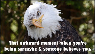 sarcasm - that awkward moment.jpg