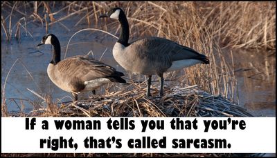 sarcasm - if a woman.jpg