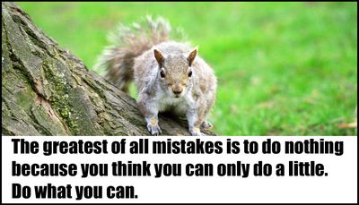 mistakes - the greatest of all mistakes.jpg