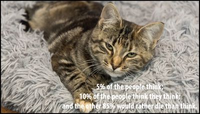 think - five percent of the people.jpg