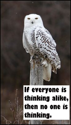 think_v_if_everyone_is_thinking.jpg