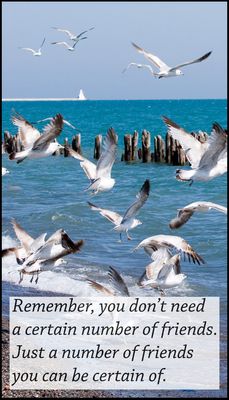 friends_v_remember_you_dont_need.jpg