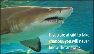 chance - if you are afraid to take chances.jpg