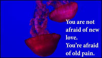 love - you are not afraid of new.jpg