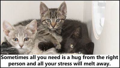 stress - sometimes all you need.jpg