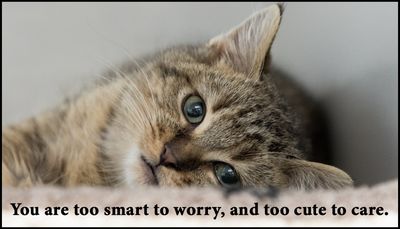 worry - you are too smart.jpg