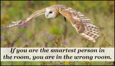 intelligence - if you are the smartest.jpg