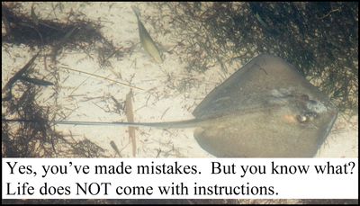 mistakes - yes I've made mistakes.jpg