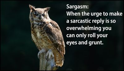 sarcasm - sargasm.jpg