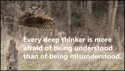 think - every deep thinker is more.jpg