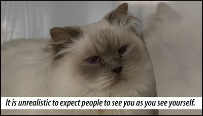 yourself - it is unrealistic.jpg