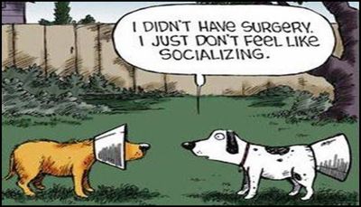 introvert - I didn't have surgery.jpg
