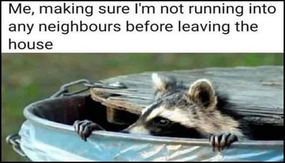 introvert  - me making sure.jpg